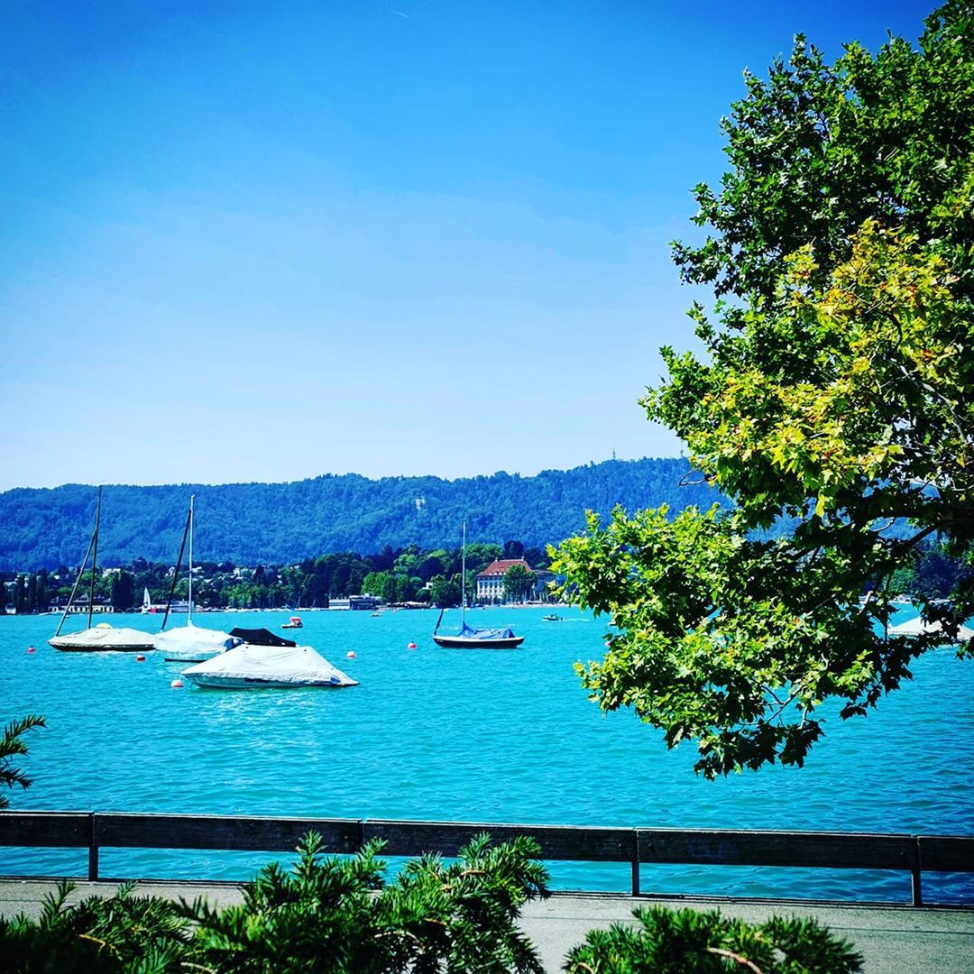 Grill and Chill on the Lake Banks WOW ZURICH